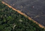 amazonas brasil
