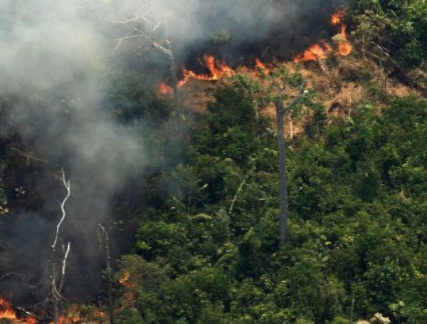 Brasil, amazonas incendios forestales