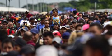 migración