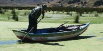 Lago Titicaca contaminación