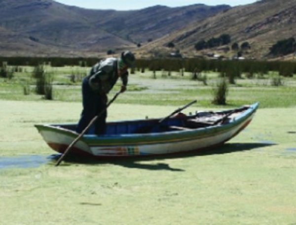 Lago Titicaca contaminación