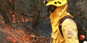 Incendios forestales Chiquitanía