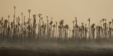 Incendios forestales Chiquitanía