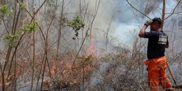 Incendios forestales Santa Cruz