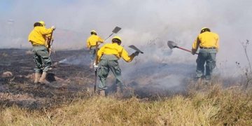 Incendios forestales Santa Cruz