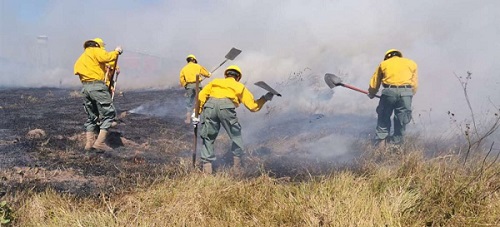 Incendios forestales Santa Cruz