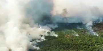 incendios forestales Santa Cruz