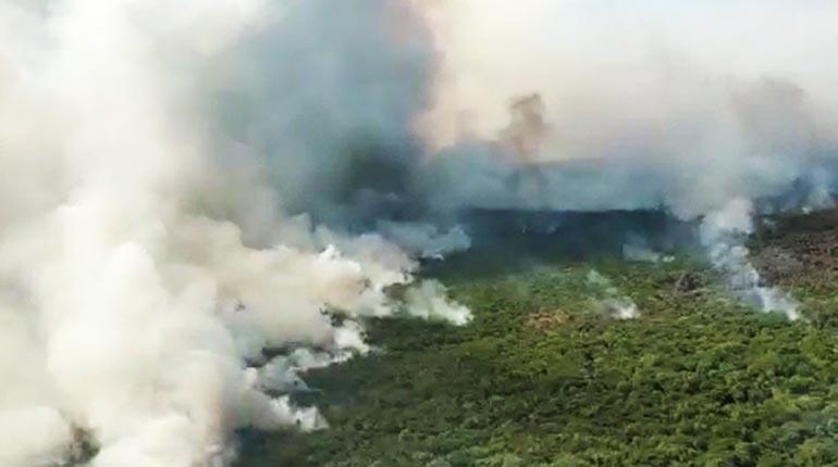 incendios forestales Santa Cruz