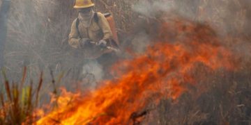 Incendios forestales Sudamérica