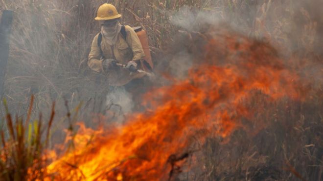 Incendios forestales Sudamérica