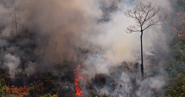 Incendios forestales Bolivia