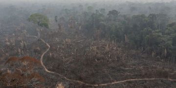 Brasil incendios forestales reserva Jace-Paraná