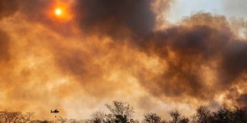 Incendios forestales, Chiquitanía 2019, Adolfo Lino