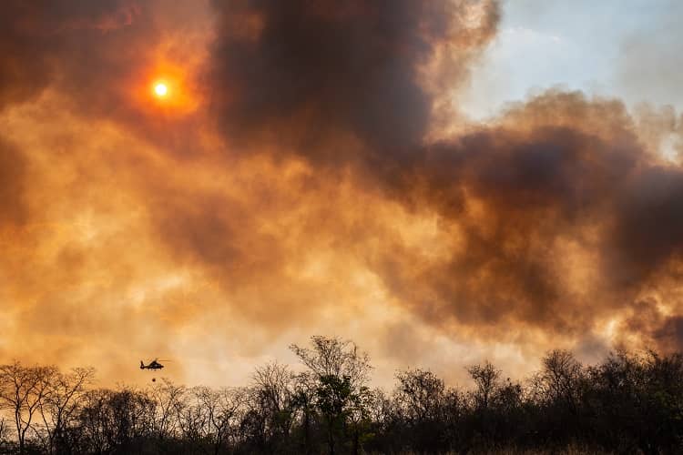 Incendios forestales, Chiquitanía 2019, Adolfo Lino