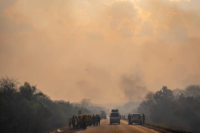 Incendios forestales - Chiquitania 2019 | Adolfo Lino