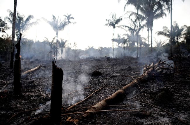 Incendios Forestales