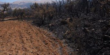 Parque Tunari, incendios y sembradíos