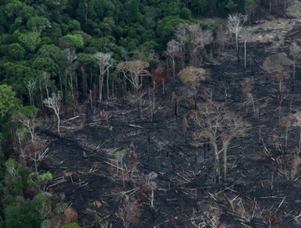 deforestación amazonía