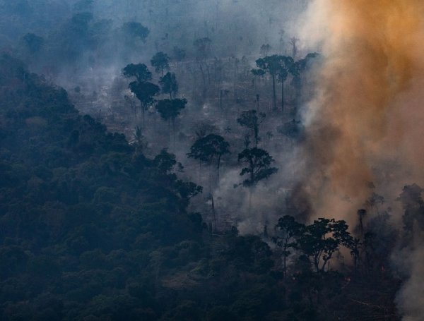 amazonas, Brasil, incendios forestales