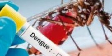 Dengue