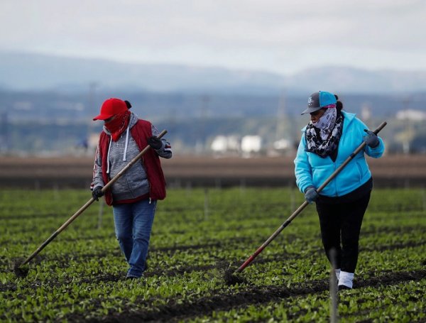 agricultores migración, migrantes latinoamericanos