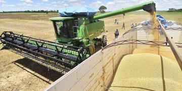 Producción Soya, exportaciones, Santa Cruz