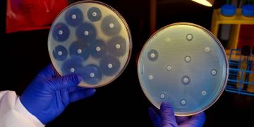 bacterias inmunes a los antibióticos