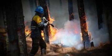 incendios forestales, Argentina, corrientes, medio ambiente