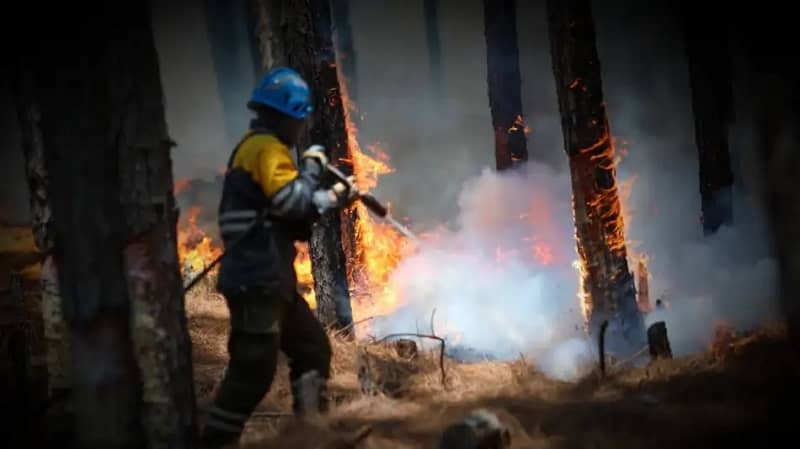 incendios forestales, Argentina, corrientes, medio ambiente