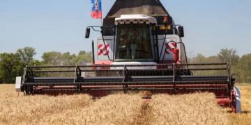 ucrania, Rusia, producción agrócola, economia