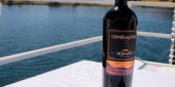 tannat, vinos la Concepción