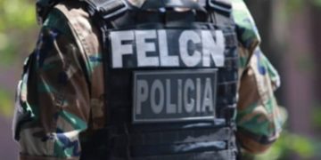 Felcn, violencia, seguridad, narcotráfico