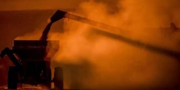 producción alimentos, materias primas