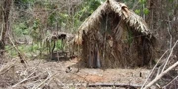Choza, indigena Brasil