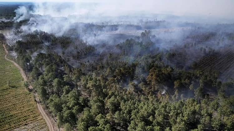 incendios forestales Europa