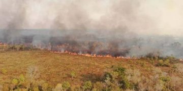 Incendios forestales, fuego, Santa Cruz 2022