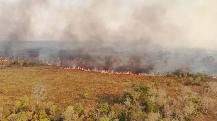 Incendios forestales, fuego, Santa Cruz 2022