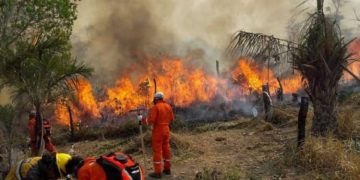 incendios forestales bolivia