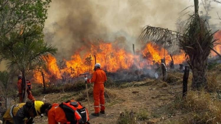 incendios forestales bolivia