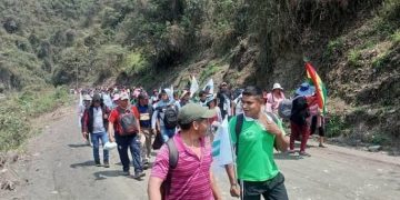 marcha cocaleros, yungas, mercado adepcoca