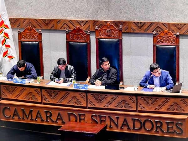 ley del censo en Senado, Andrónico Rodriguez MAS