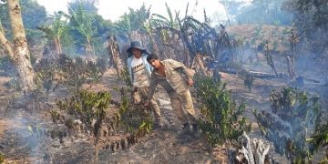 incendios forestales, La Asunta yungas