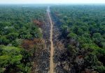 brasil amazonía deforestación