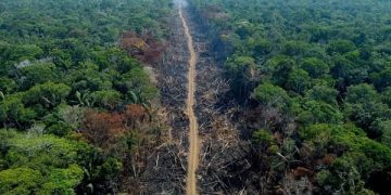 brasil amazonía deforestación
