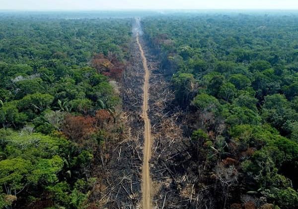brasil amazonía deforestación