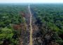 brasil amazonía deforestación
