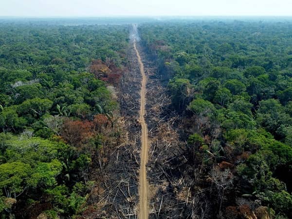 brasil amazonía deforestación