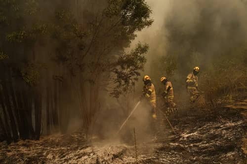 Chile, incendios forestales