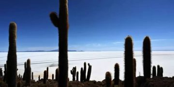 Litio Bolivia, chile, argentina méxico