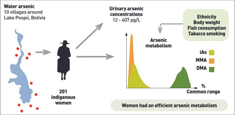 mujeres procesan arsénico del agua consumida. Investigación UMSA